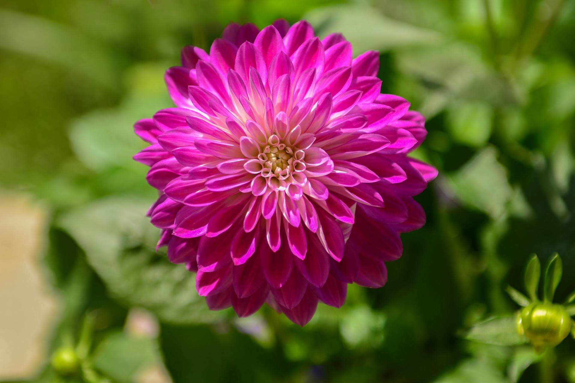 nature-12